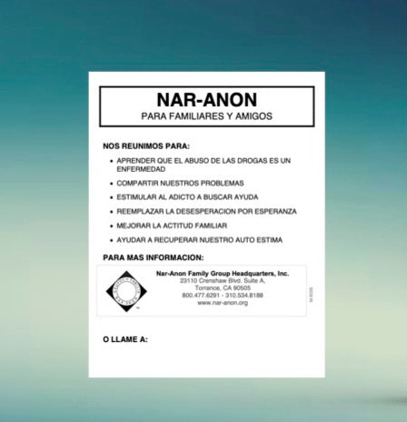 Cartel de Nar-Anon (21.6cm x 28cm) B&N