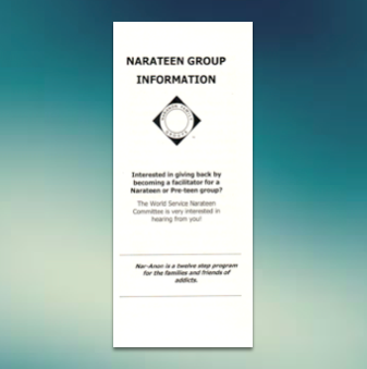 Narateen Group Information
